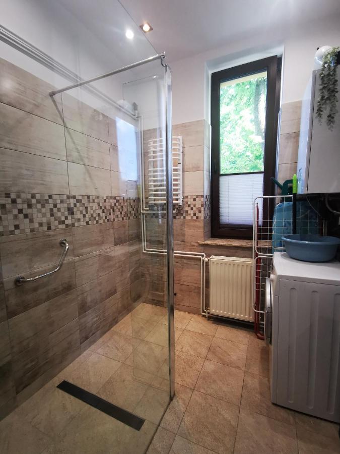 Apartament Mario Bezplatny Parking Bielsko-Biała Ngoại thất bức ảnh