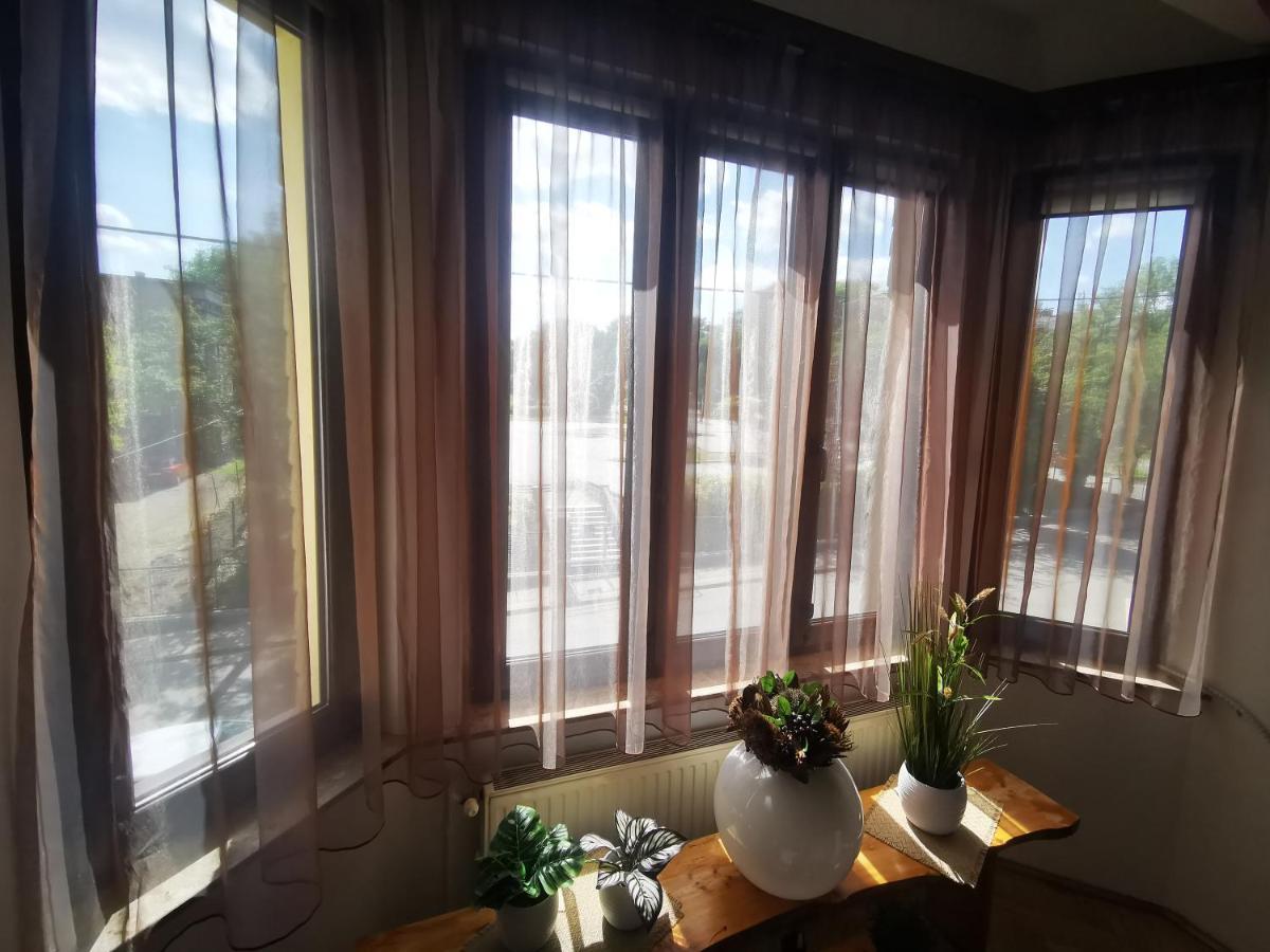 Apartament Mario Bezplatny Parking Bielsko-Biała Ngoại thất bức ảnh