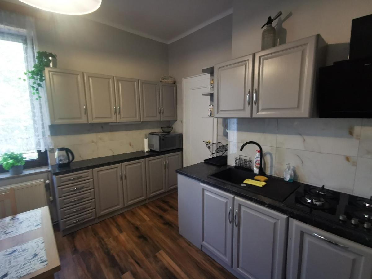 Apartament Mario Bezplatny Parking Bielsko-Biała Ngoại thất bức ảnh